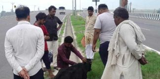 Kairana News