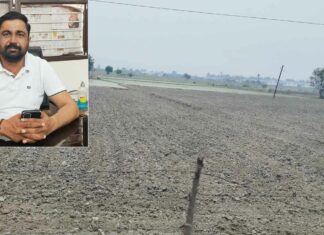 Kaithal News