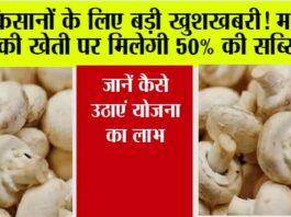 Kisan News