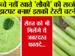 Lauki ki Chutney Recipe