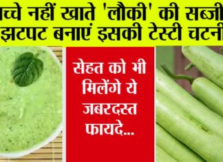 Lauki ki Chutney Recipe
