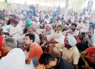 Mansa News