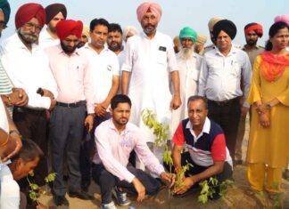 Mansa News