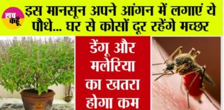 Monsoon Tips