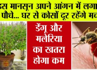 Monsoon Tips