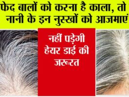 Natural Remedies For White Hair: सफेद बालों को करना चाहते हैं काला, तो एक बार जरूर अजमाएं ये घरेलू नुस्खे, नहीं पड़ेगी डाई की जरूरत.. Natural Remedies For White Hair