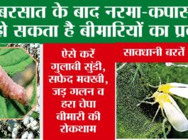 Odhan News