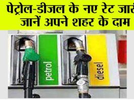 Petrol Diesel Price