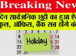 Public Holiday