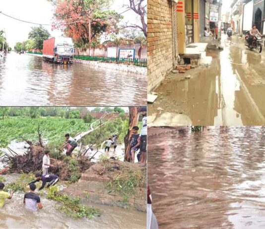 Punjab News