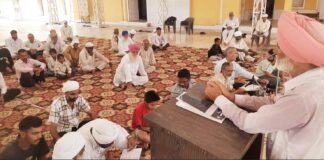 Sirsa News