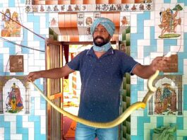 Snake News