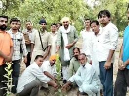 Tree Plantation Campaign : शमशान भूमि में पौधारोपण के साथ महाअभियान का आगाज Hanumangarh News