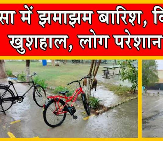 Sirsa Weather Update : सरसा में झमाझम बारिश, किसान खुशहाल, लोग परेशान! Sirsa Weather Today