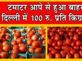 Tomato Price Hike