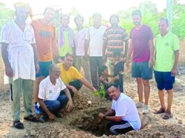 Tree Plantation : जिला उद्योग केन्द्र मार्ग पर लगाए तीस पौधे Hanumangarh News