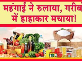 Wholesale inflation Rises : महंगाई की मार, कीमतों में वृद्धि से मचा हाहाकार! खाने-पीने की चीजें गरीब की हद से पार! Wholesale Inflation