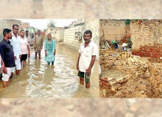 Abohar News