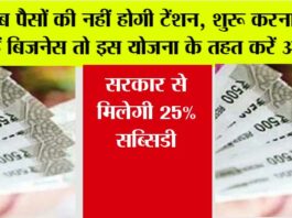 Business News