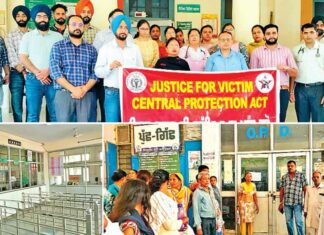 Chandigarh News