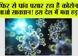 Coronavirus News