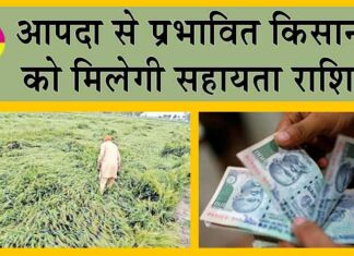 PM Fasal Bima Yojana : किसानों को मिलेगा खराब हुई फसल का मुआवजा, जमा करने होंगे ये दस्तावेज Rajasthan News
