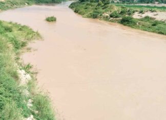 Ghaggar River
