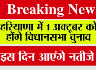 Haryana Assembly Elections
