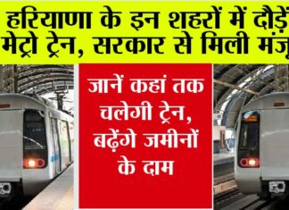 Haryana Metro News