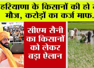 Haryana News