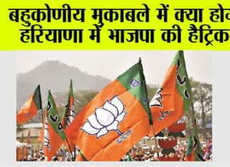 Haryana News