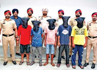 Jalandhar News