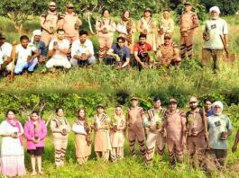 Tree Plantation: कर्नाटक के डेरा श्रद्धालुओं ने पौधारोपण कर समाज को दिया संदेश Karnataka