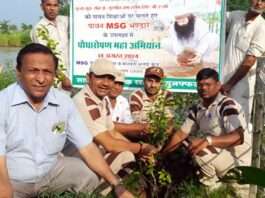 Tree Plantation: ब्लाक खतौली की साध-संगत ने पौधारोपण कर मनाया पावन अवतार माह Khatauli News