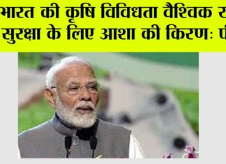 भारत की कृषि विविधता वैश्विक खाद्य सुरक्षा के लिए आशा की किरण: मोदी New Delhi