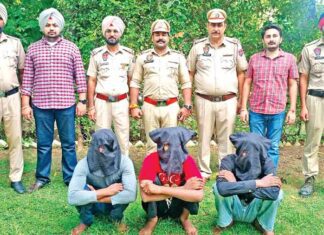 Patiala News