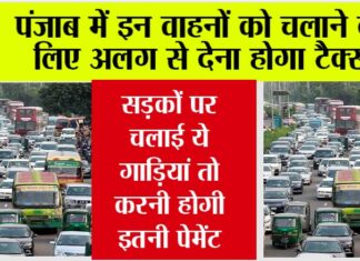 Punjab News