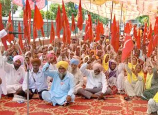 Sangrur News