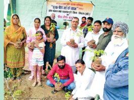 Sirsa News