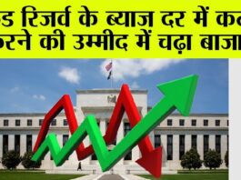 Share Market: फेड रिजर्व के ब्याज दर में कटौती करने की उम्मीद में चढ़ा बाजार Stock Market