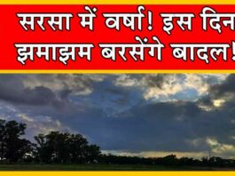 Sirsa Weather Update