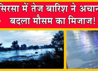 Sirsa Weather Update