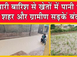 Rajasthan Weather Update: भारी बारिश से खेतों में पानी भरा, शहर और ग्रामीण सड़कें बंद! Rajasthan Weather Update