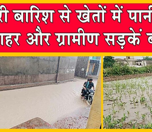 Rajasthan Weather Update