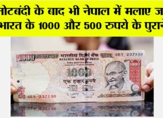 1000 Rupee Notes