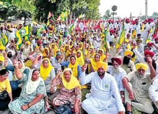 Chandigarh News