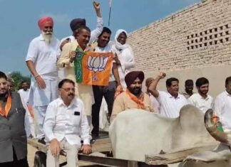 Fazilka News