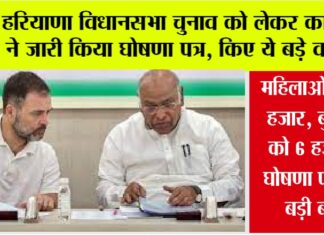 Haryana News