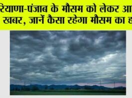Haryana Punjab Weather