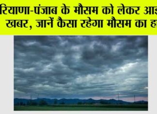 Haryana Punjab Weather